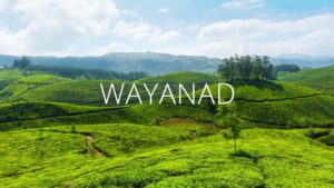 best places to visit in Wayanad