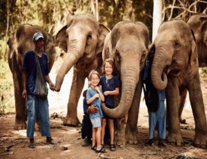 You Should Visit an Elephant Conservation Center on Your Visit to Thailand